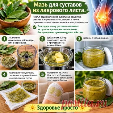 Мазь для суставов из лаврового листа