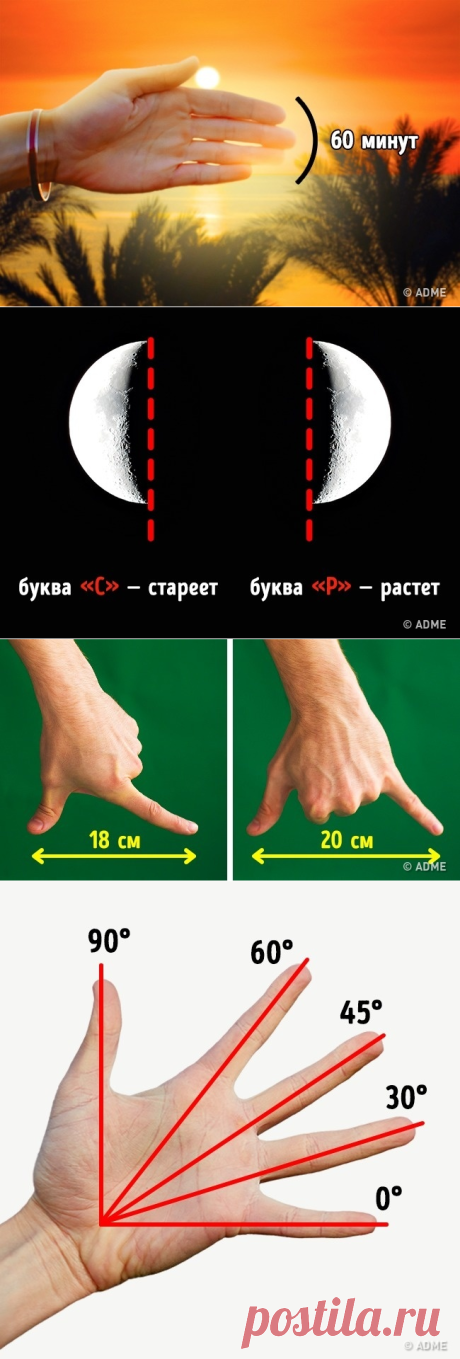 Этим хитростям нас научили еще в школе, и они до сих пор работают