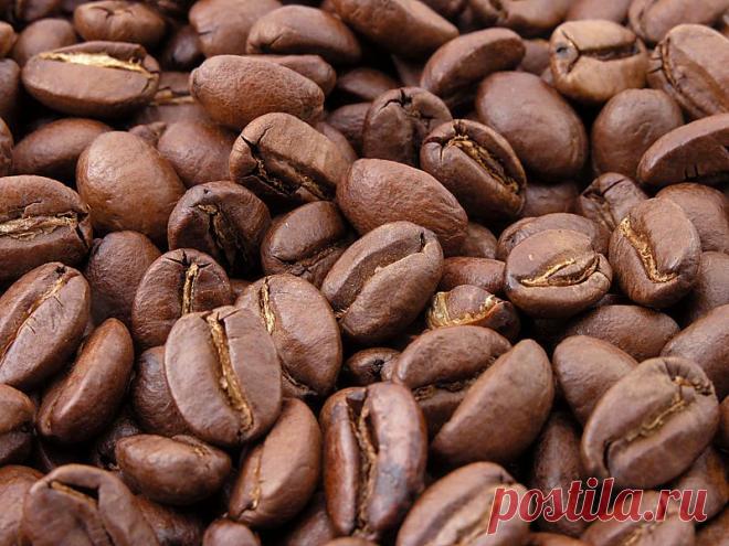 Это нужно знать всем о кофе. Расстворимый vs Молотый