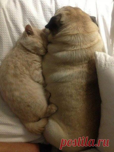 ...так теплее )))