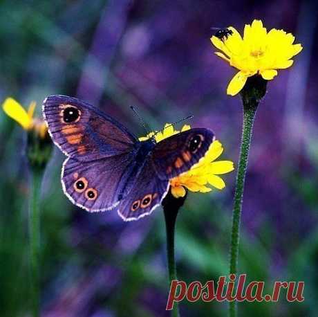 Мой Мир@Mail.Ru