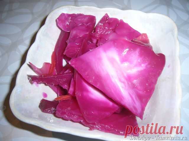 Капуста по Гурьевски