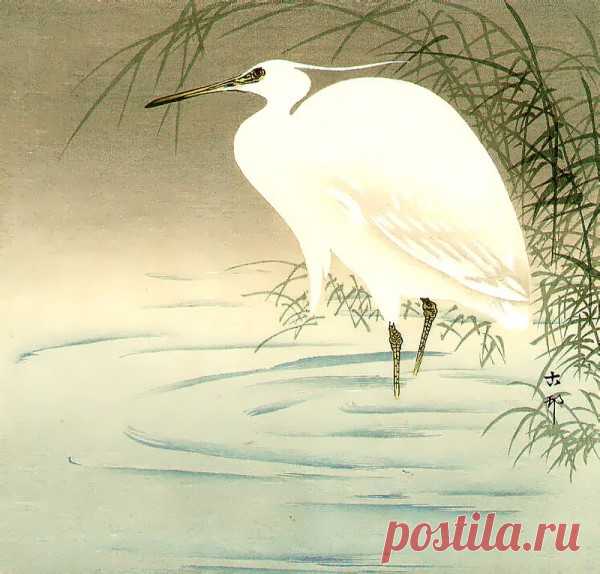 OHARA KOSON