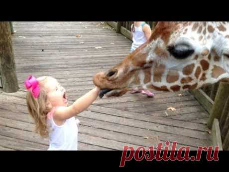 FORGET CATS! Funny KIDS vs ZOO ANIMALS are WAY FUNNIER! - TRY NOT TO LAUGH