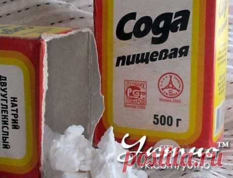 Cода спасет ваш огород.