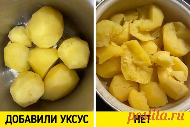 25+ профессиональных советов от поваров, которые выведут домашнюю стряпню на новый уровень / AdMe