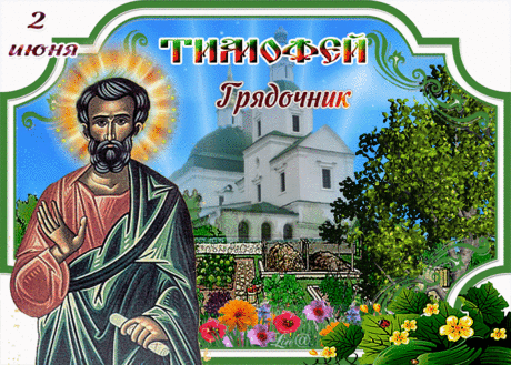 От всей души, от всего сердца
Желаю радости, добра.
Пусть без труда найдешь ту дверцу,
Где будет счастье ждать тебя.