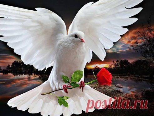 Світлана ツ
ДАВАЙТЕ ЖИТЬ ДРУЖНО!!! Я ЖЕЛАЮ ВСЕМ МИРА!!!!