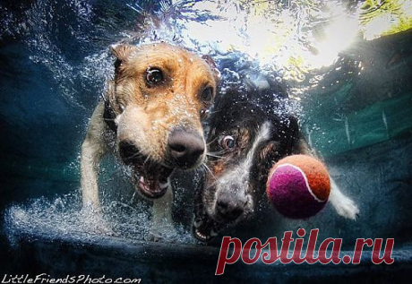 (74) Одноклассники