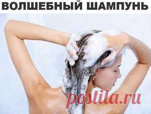 Как обычный шампунь сделать волшебным! Я даже