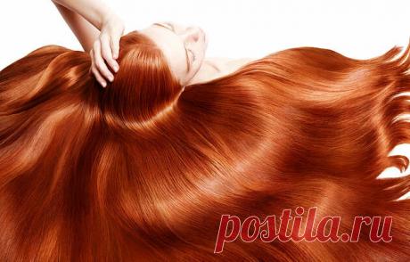 Как остановить выпадение волос: щитовидка или гипофиз? | Едим правильно | Яндекс Дзен