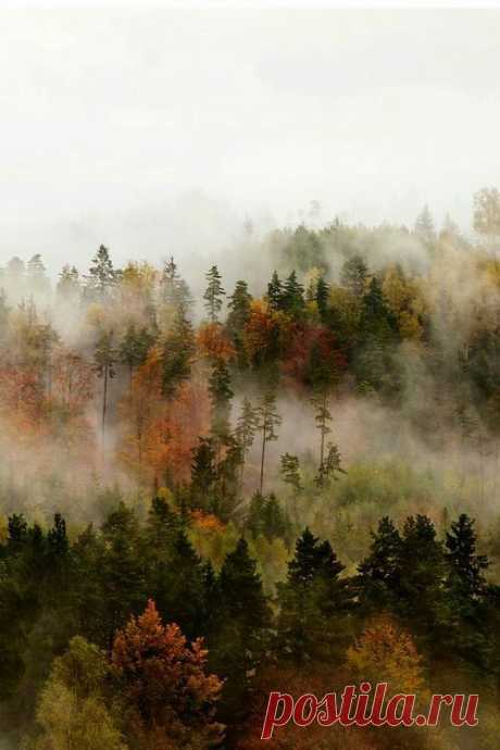 autumn cozy aesthetics