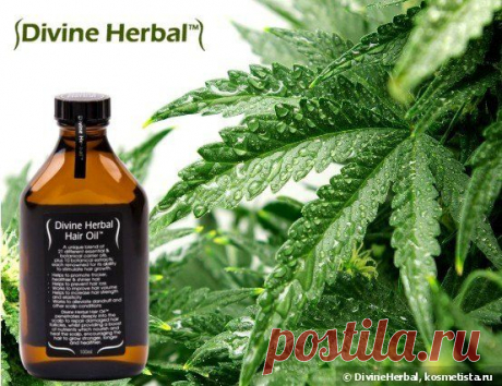 Скидки до 15% на здоровые волосы от Divine Herbal — Отзывы о косметике — Косметиста