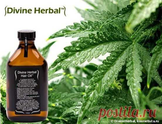 Скидки до 15% на здоровые волосы от Divine Herbal — Отзывы о косметике — Косметиста