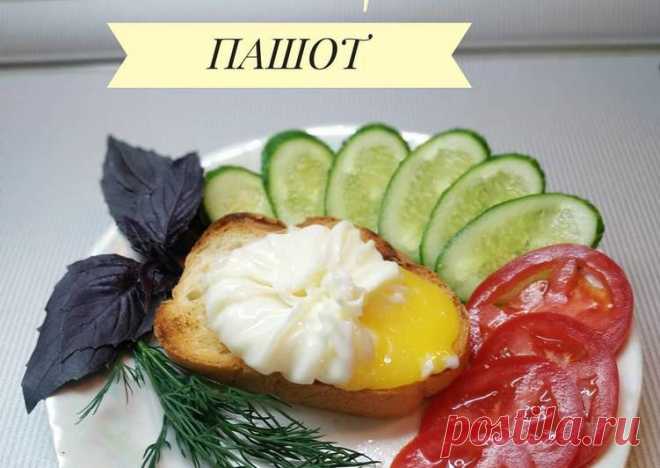 (3) Яйцо Пашот - пошаговый рецепт с фото. Автор рецепта Гелена . - Cookpad