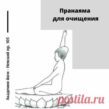 В этой крийе вам необходимо контролировать, какая ноздря активна в данный момент, не используя пальцы рук. Это возможно сделать с помощью концентрации внимания, а также используя следующую подсказку. Когда вам нужно дышать через правую ноздрю, вытяните правую руку вверх. Когда через левую – вытяните левую руку вверх. Когда вы активно вытягиваете руку вверх и удерживаете её в кулаке, вы можете научиться управлять дыханием и дышать попеременно через ноздри по своему желанию.
Показать полностью…