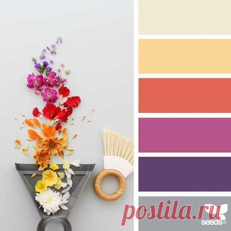 today's inspiration image for { color swept } is by @caroline_south ... thank you, Caroline, for another amazing #SeedsColor image share!