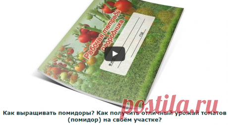 Выращивание помидор (томатов) перцев, баклажанов и других огородных культур - видео и фото.