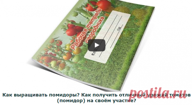 Выращивание помидор (томатов) перцев, баклажанов и других огородных культур - видео и фото.