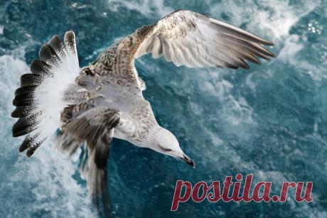 Василий Тимошин vasiliy-timoshin - Москва, Россия, 61 год на Мой Мир@Mail.ru