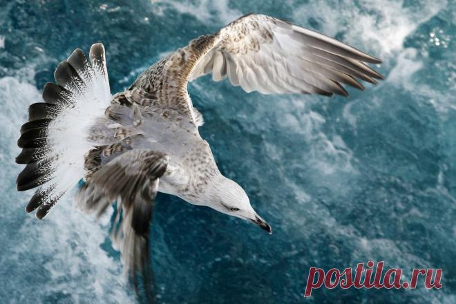 Василий Тимошин vasiliy-timoshin - Москва, Россия, 61 год на Мой Мир@Mail.ru