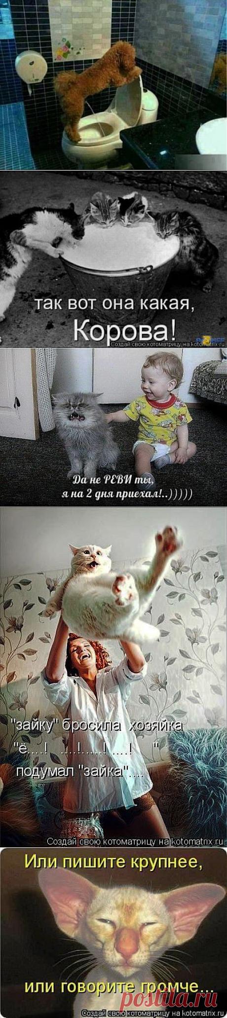 (+1) тема - Все. Нафиг политику. Отвлекитесь))) | ОБОРЖАКА ;)