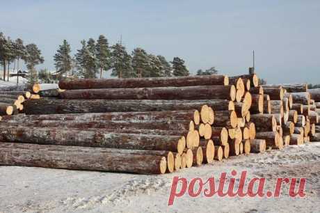 Продаем лес кругояк сосна 
г.Ревда 
от 18-60см.
обьем; 4000 куб
Возможна доставка своим лесовозом.34 куб
погрузка на ваш.
Цена; 2750 руб.куб.
наличный расчет,предоплата .
выборка 22.24.26.30.
https://special-service.info/
frizen196910@mail.ru
89045471839