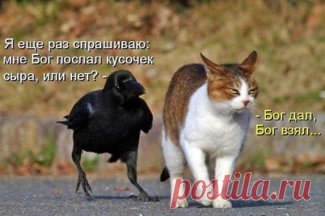 Божественные разборки