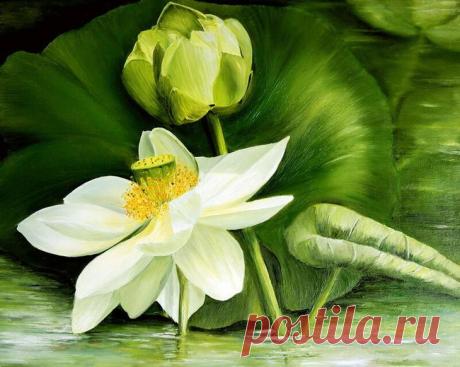 Французская художница - самоучка Мари-Клер Умо и её акварельные японские зарисовки