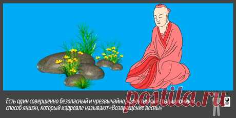 Секреты Яншэн. Упражнение «Возвращение весны»