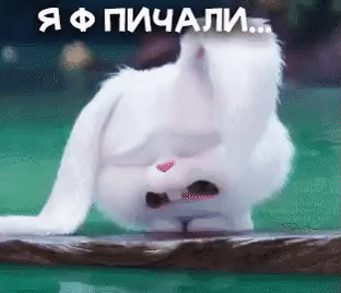 Фото Без названия. Альбом Работа.......смешные картинки - 243 фото. Фотографии Вера Скорятина.