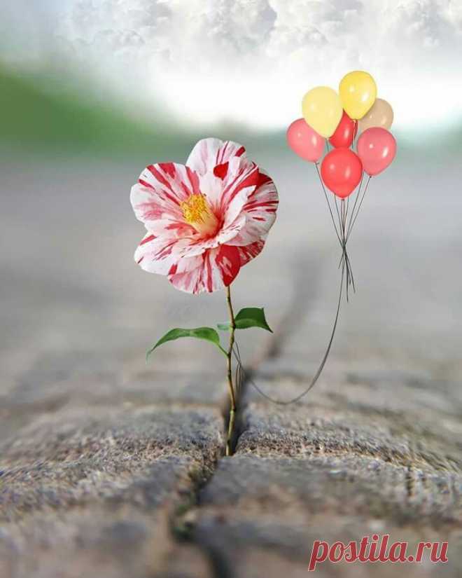 cute beautiful things for dp – Google Поиск