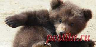 9-минутная тренировка, способная заменить поход в тренажерный зал