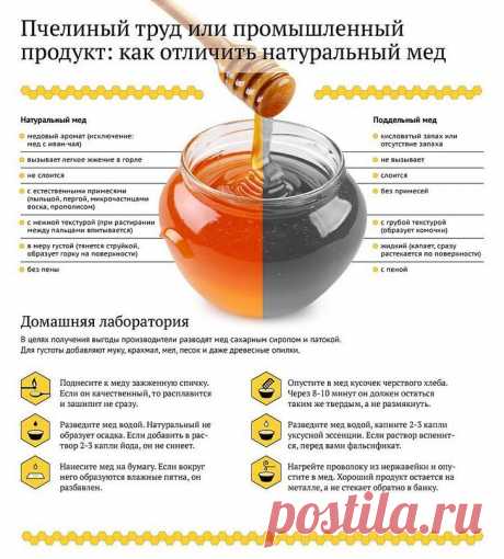 Как определить качество мёда? / Блог tyap — Деревня-online.ru