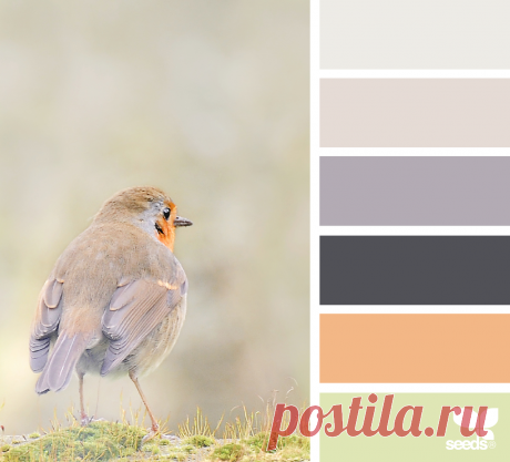 design seeds | feathered hues | for all who ♥ color