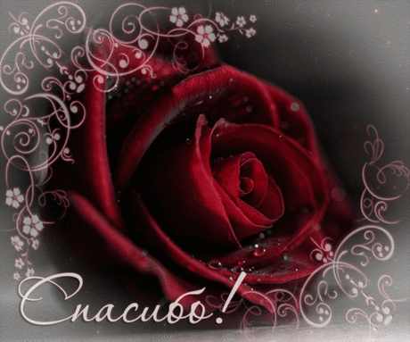 В благодарность!