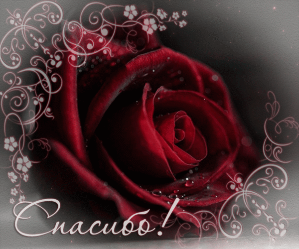 В благодарность!