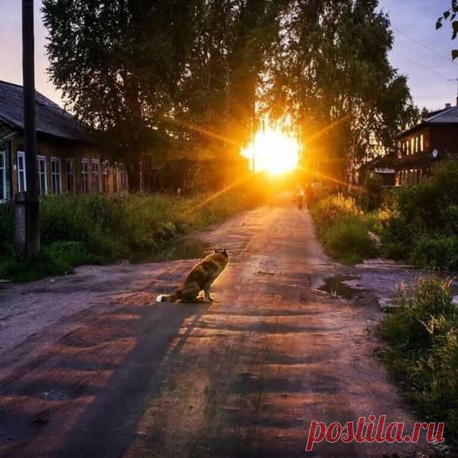 Не бойтесь, люди, завтрашнего дня, 
И будущим себя не напрягайте. 
Сейчас живите, мир в душе храня, 
И всё своей любовью освящайте.