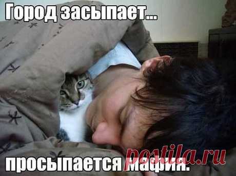 Город засыпает