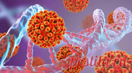 Что общего между СПИД и COVID
Фото https://xn—27-5cdvwb1buti.xn--p1ai В журнале Cellular &amp; Molecular Immunology опубликованы результаты исследований, позволивших установить сходство в поведении коронавируса и вируса иммунодефицита человека: оба они атакуют иммунные клетки организма, проникают в Т-клетки, захватывают их и отключают функции защиты организма. Но, коронавирус, в отличие от ВИЧ, не...
Читай дальше на сайте. Жми подробнее ➡