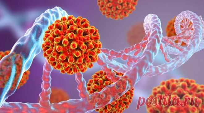 Что общего между СПИД и COVID
Фото https://xn—27-5cdvwb1buti.xn--p1ai В журнале Cellular & Molecular Immunology опубликованы результаты исследований, позволивших установить сходство в поведении коронавируса и вируса иммунодефицита человека: оба они атакуют иммунные клетки организма, проникают в Т-клетки, захватывают их и отключают функции защиты организма. Но, коронавирус, в отличие от ВИЧ, не...
Читай дальше на сайте. Жми подробнее ➡