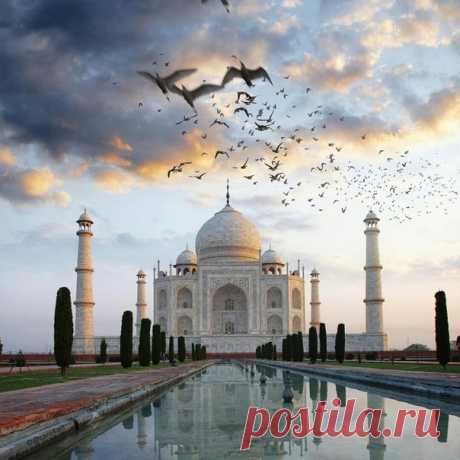 #Тадж_Махал@discoverygroup