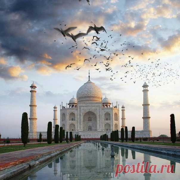 #Тадж_Махал@discoverygroup