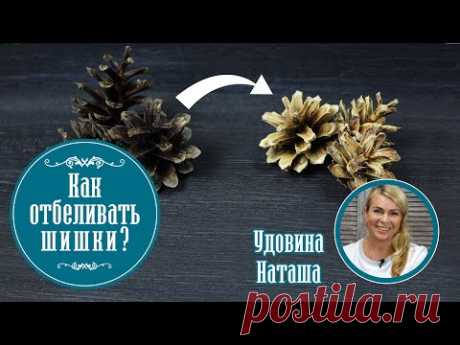 Как отбеливать шишки? Эксперимент с удачным исходом от Удовиной Наташи.