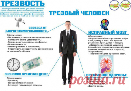 Трезвость