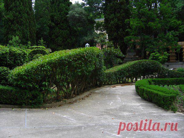 Клуб любителей дачи