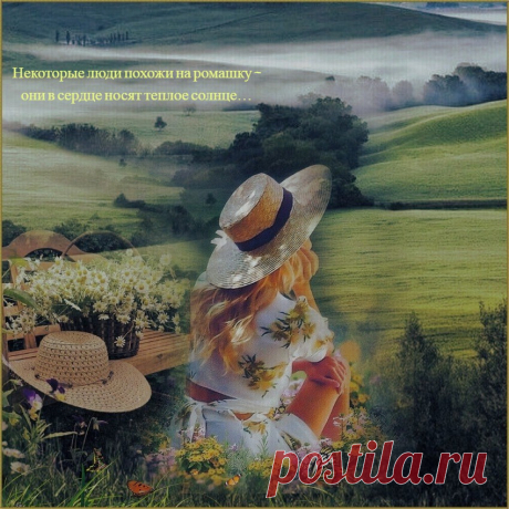 Люди, как ромашки. ~ Плейкасты ~ zhivopismira.ru