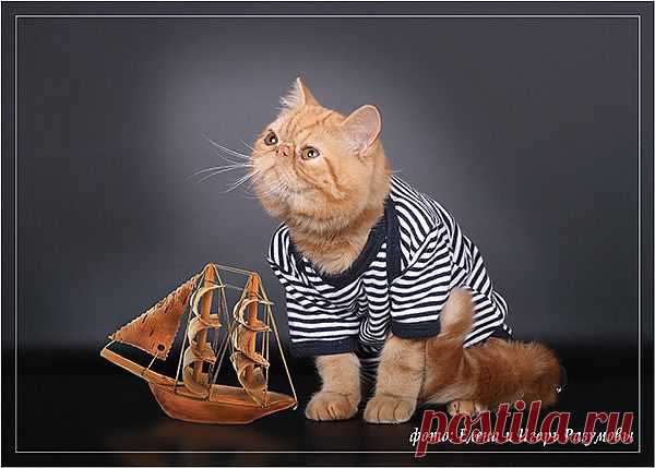 Мой Мир@Mail.Ru