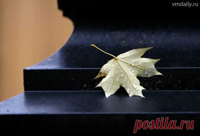 ♥ღ♥Из жизни...♥ღ♥