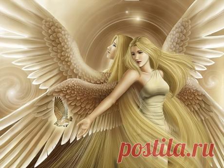 Ангелы (мистическая история) – Сказки рассказы , пользователь Добрый Волк Волкович | Группы Мой Мир